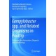 Campylobacter spp. and Related Organisms in Poultry: Pathogen-Host Interactions, Diagnosis and Epidemiology