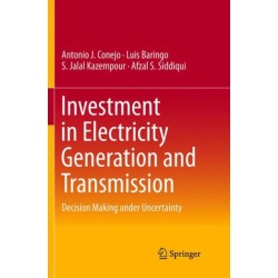 Investment in Electricity Generation and Transmission: Decision Making under Uncertainty