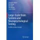 Large-Scale Brain Systems and Neuropsychological Testing: An Effort to Move Forward