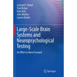 Large-Scale Brain Systems and Neuropsychological Testing: An Effort to Move Forward