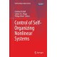 Control of Self-Organizing Nonlinear Systems
