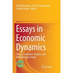 Essays in Economic Dynamics: Theory, Simulation Analysis, and Methodological Study
