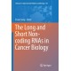 The Long and Short Non-coding RNAs in Cancer Biology