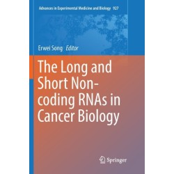 The Long and Short Non-coding RNAs in Cancer Biology