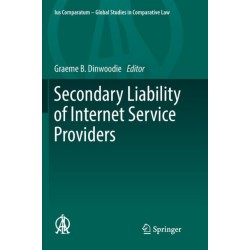 Secondary Liability of Internet Service Providers