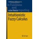 Intuitionistic Fuzzy Calculus