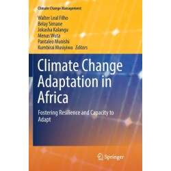 Climate Change Adaptation in Africa: Fostering Resilience and Capacity to Adapt