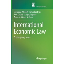 International Economic Law: Contemporary Issues