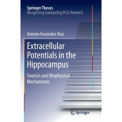 Extracellular Potentials in the Hippocampus: Sources and Biophysical Mechanisms