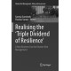 Realising the 'Triple Dividend of Resilience': A New Business Case for Disaster Risk Management