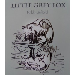 Little Grey Fox: Wondered why things were so hard