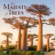 Majesty of Trees, The 2026 Square Flap Calendar