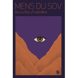 Mens du sov
