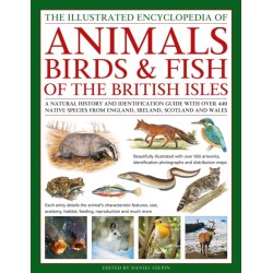 The Animals, Birds & Fish of the British Isles, Illustrated Guide to: A natural history and identification guide to over 440 native species from England, Ireland, Scotland and Wales