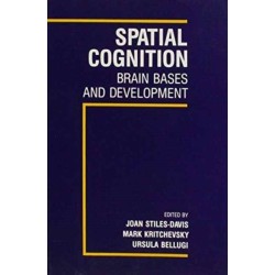 Spatial Cognition: Brain Bases and Development