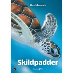 Skildpadder