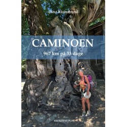 Caminoen: 967 km på 33 dage
