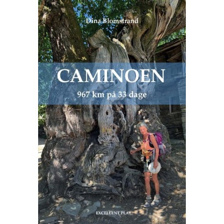 Caminoen: 967 km på 33 dage