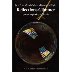 Reflections Glimmer: poems exploring ekphrasis
