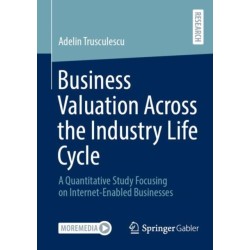 Business Valuation Across the Industry Life Cycle: A Quantitative Study Focusing on Internet-Enabled Businesses