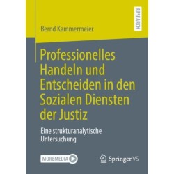 Professionelles Handeln und Entscheiden in den Sozialen Diensten der Justiz: Eine strukturanalytische Untersuchung