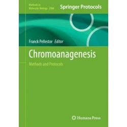 Chromoanagenesis: Methods and Protocols