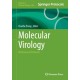 Molecular Virology: Methods and Protocols