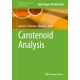 Carotenoid Analysis