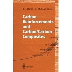 Carbon Reinforcements and Carbon/Carbon Composites