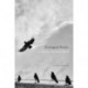 Ecological Poetics- Or, Wallace Stevens's Birds