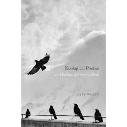 Ecological Poetics- Or, Wallace Stevens's Birds
