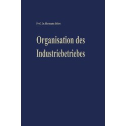 Organisation des Industriebetriebes