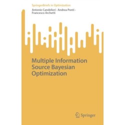 Multiple Information Source Bayesian Optimization