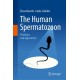 The Human Spermatozoon: Problems and Approaches
