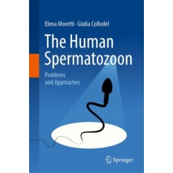 The Human Spermatozoon: Problems and Approaches