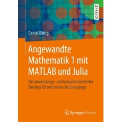 Angewandte Mathematik 1 mit MATLAB und Julia: Ein anwendungs- und beispielorientierter Einstieg fur technische Studiengange