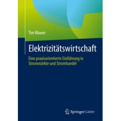 Elektrizitatswirtschaft: Eine praxisorientierte Einfuhrung in Strommarkte und Stromhandel