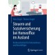 Steuern und Sozialversicherung bei Homeoffice im Ausland: Rechtssicherheit fur Unternehmen und Beschaftigte