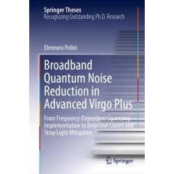 Broadband Quantum Noise Reduction in Advanced Virgo Plus: From Frequency-Dependent Squeezing Implementation to Detection Losses and Stray Light Mitigation