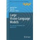Large Vision-Language Models: Pre-training, Prompting, and Applications