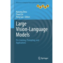 Large Vision-Language Models: Pre-training, Prompting, and Applications