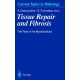Tissue Repair and Fibrosis: The Role of the Myofibroblast