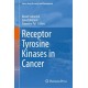 Receptor Tyrosine Kinases in Cancer