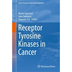 Receptor Tyrosine Kinases in Cancer