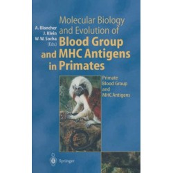 Molecular Biology and Evolution of Blood Group and MHC Antigens in Primates