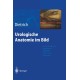 Urologische Anatomie Im Bild: Von Der K Nstlerisch-Anatomischen Abbildung Zu Den Ersten Operationen