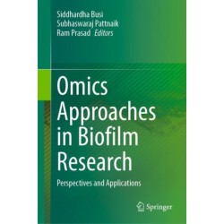 Omics Approaches in Biofilm Research: Perspectives and Applications