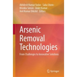 Arsenic Removal Technologies: From Challenges to Innovative Solutions