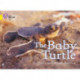 The Baby Turtle: Band 03/Yellow