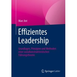 Effizientes Leadership: Grundlagen, Prinzipien und Methoden einer sozialkonstruktivistischen Fuhrungstheorie